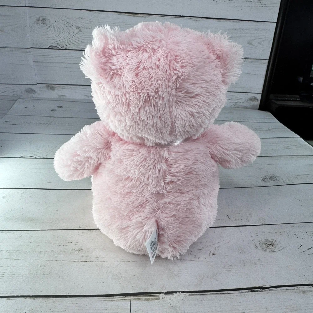 GUND Baby My First Teddy Bear‎ Pink Plush 8